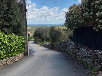 Randonnée Marche Faugères - Faugeres / pic de Tantajo / la Caumette - Photo