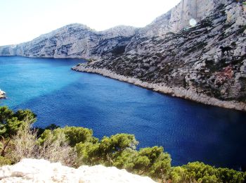 Trail On foot Marseille - FR-5 - Photo