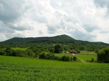 Tour Zu Fuß Mössingen - Dreifürstensteig - Photo