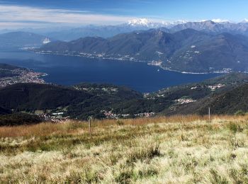Trail On foot Astano - Dumenza - Curiglia - Photo