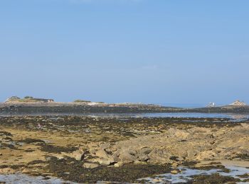 Excursión Senderismo Roscoff - Roscoff - Photo