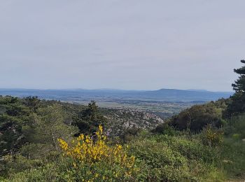 Trail Walking Caunes-Minervois - Caunes/Mayrac/Caunes le 22 avril 2022 - Photo