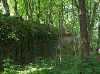 Tocht Te voet Kronach - Kreuzberg-Weg KC 13 - Photo