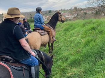 Trail Horseback riding Baccarat - Vendredi 8 mars 23 chez Alex Tivio  - Photo