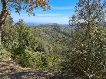 Trail Mountain bike Les Arcs-sur-Argens - castel diol  mined terriers - Photo