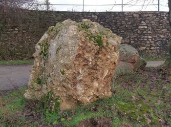 Tour Zu Fuß Geisenheim - Geisenheimer Rundweg K - Photo