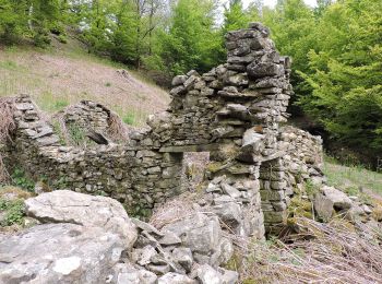 Tocht Te voet Vernio - (SI L11) Montepiano - Cascina di Spedaletto - Photo