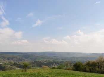 Trail Road bike Trooz - Par Presseux - Photo