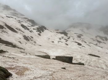 Randonnée Marche Saint-Dalmas-le-Selvage -  Col de la Braïssa  - Photo