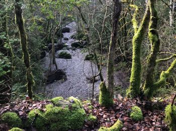 Randonnée Marche Sauclières - Sauciers le causse de campestre  - Photo