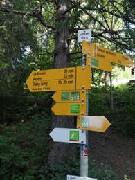 Excursión Senderismo Ayent - partset  - Photo