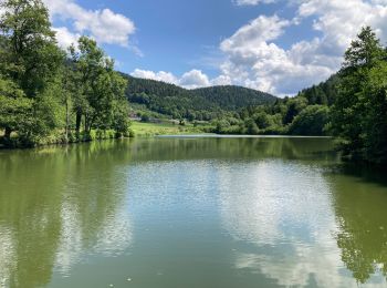 Randonnée Marche Le Val-d'Ajol - Le Breuil - Hérival  - Photo