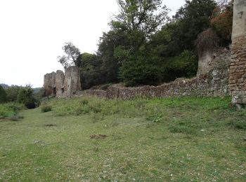 Percorso A piedi Canale Monterano - Ara del Tufo - Photo