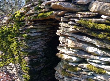 Tour Wandern Montagny-lès-Buxy - montagny les ministres plus plus. - Photo