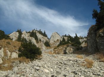 Tour Zu Fuß Unbekannt - Cabana Curmătura-Vf. Piatra Mică-traseul BG - Photo