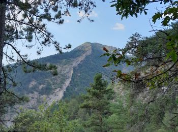 Percorso A piedi Espenel - Espenel de la Drome au col du grand pres - Photo