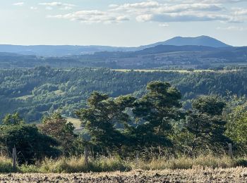 Tour Wandern Blanzac - Rachat - Chapelle de Chassaleuil - Photo