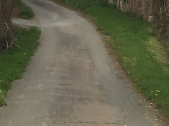 Randonnée Marche Néronde - Neronde vers Chapelle Notre Damem - Photo