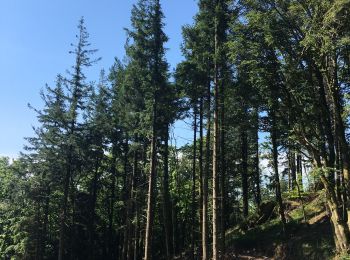 Percorso Marcia Courniou - Prouilhe et la Route forestière de la corniche - Photo