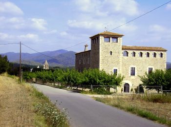 Trail On foot Sant Gregori - De Sant Gregori a Sant Grau - Photo