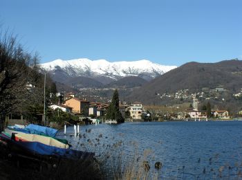 Trail On foot Caslano - Giro/Tour Monte Caslano - Photo