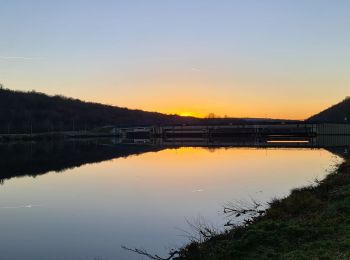 Tocht Stappen Villey-le-Sec - Villey le sec - Les grottes - Le fort - Photo