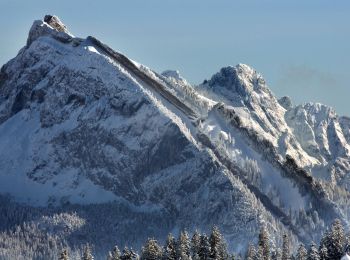 Tour Zu Fuß Einsiedeln - Rinderweidhorn - Gueteregg - Photo