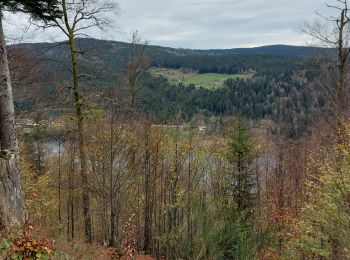 Trail Walking Le Valtin - le Collet - Longemer - Photo