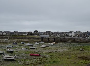 Excursión A pie Roscoff - Randonnée des Fontaines - Photo