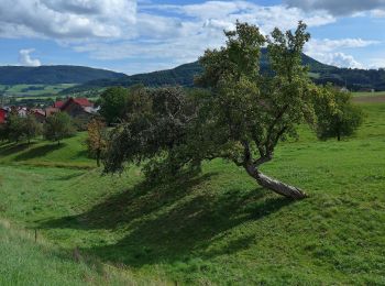 Tocht Te voet Waldstetten - Glaubensweg 5 - Photo