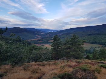 Randonnée Trail Saint-Pons-de-Thomières - jusqu'au sagnes - Photo