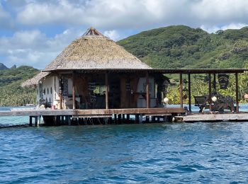 Tour Motorboot Huahine - Le tour de Huahine  - Photo