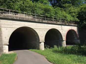 Tour Zu Fuß Vellmar - Vellmar, V1 - Heideweg - Photo