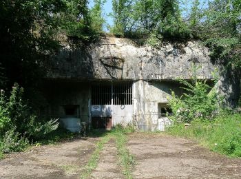 Tocht Te voet Angevillers - Boucle d'Escherange - Photo