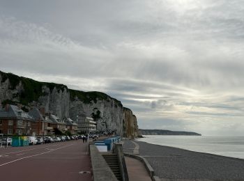 Excursión A pie Dieppe - Dieppe coté mer 1 - Photo