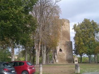 Randonnée Marche Vouvant - Vouvant  - Photo