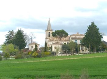 Randonnée Vélo électrique Molières - MOLIÈRES 03042024 - Photo