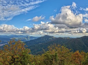 Randonnée A pied Masone - Passo del Turchino - Colla di Praglia - Photo