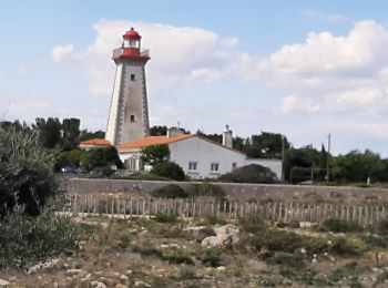 Tour Wandern Leucate - leucate - Photo