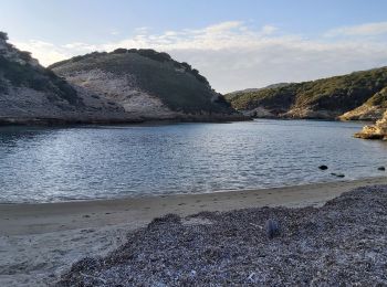 Tour Wandern Bonifacio - Sentier autour du phare de Madonetta - Photo
