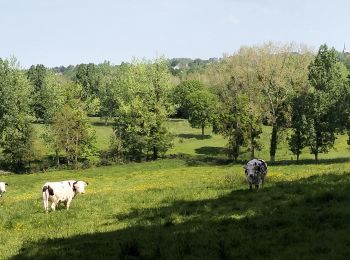 Percorso Mountainbike Donville-les-Bains - 50-vtt-donville-21km-200m - Photo