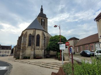 Randonnée Marche Montigny-Lencoup - Boucle Montigny Lencoup - Donnemarie - Sigy  - Photo