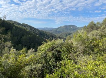 Excursión Senderismo Belgentier - Barre de Cuers depuis Belgentier - Photo