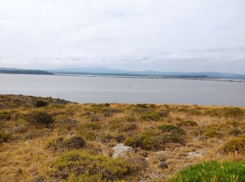 Trail Walking Gruissan - rando grotte chinois Gruissan par Daron - Photo