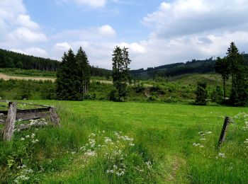 Tocht Te voet Bestwig - Föckinghausen Rundweg A3 - Photo