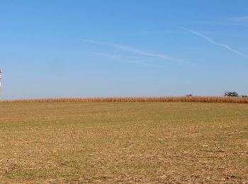 Tour Zu Fuß Hohenmauth - NS Vraclav - Photo