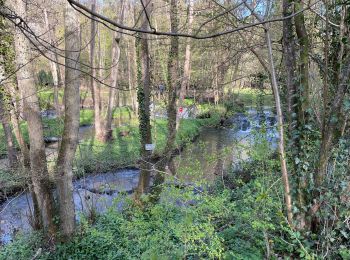 Trail Electric bike Modave - Pont de Bonne 26 avril - Photo