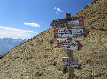 Tocht Te voet Primiero San Martino di Castrozza - IT-E347 - Photo