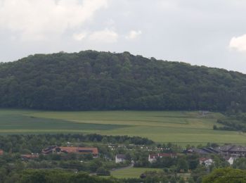 Percorso A piedi Fulda - Rundwanderweg Lotterberg - Photo