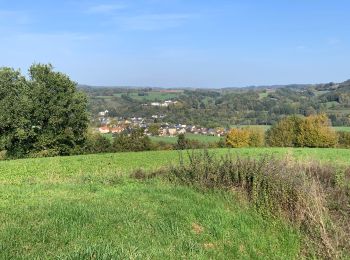 Trail Walking Tandel - Bettel - Photo
